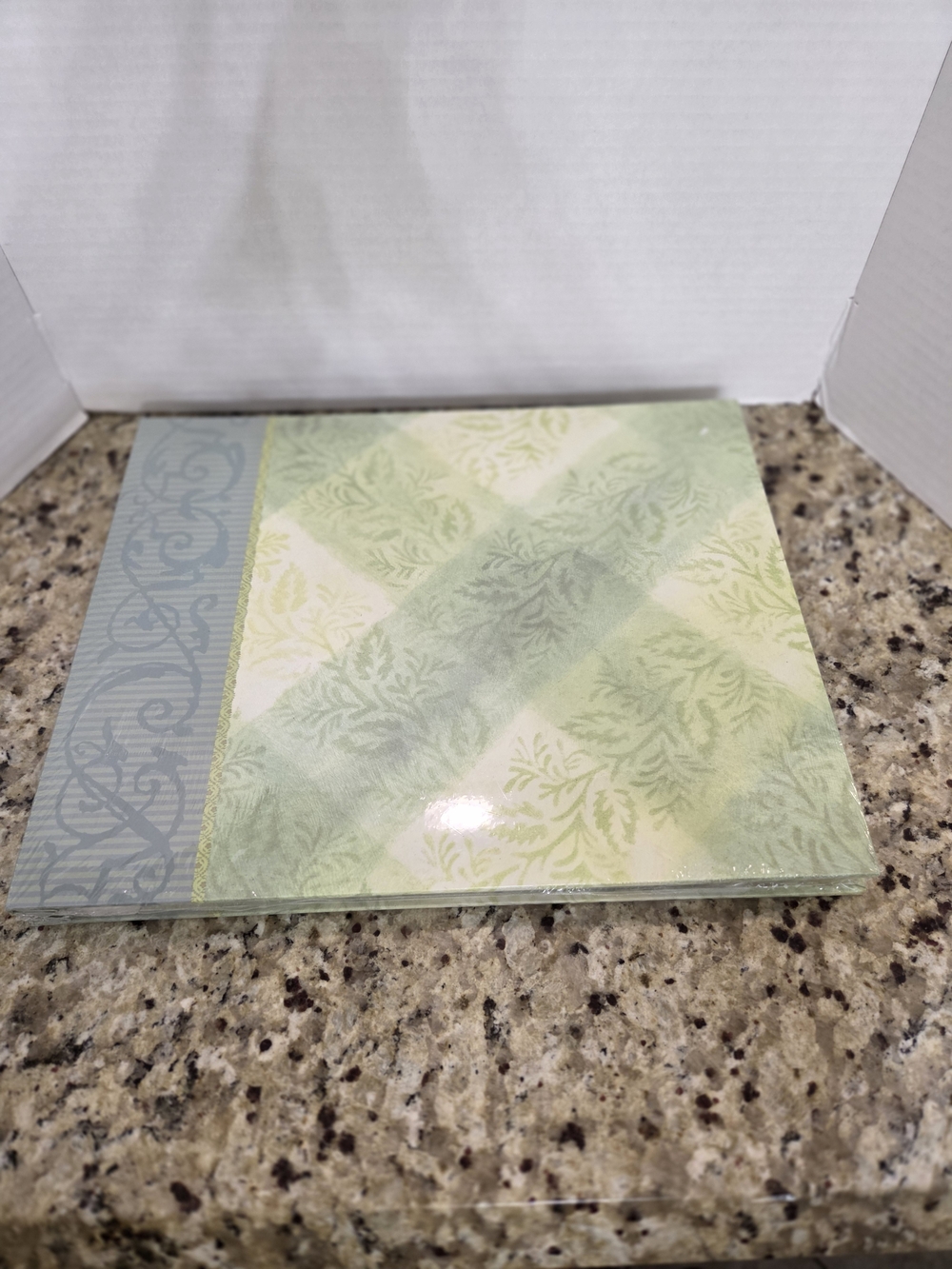 Scrapbook Kit Recordable Chelsea Vine Plaid Brenda Walton K&Company 12x12 QVC